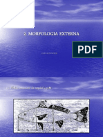 Morfologia Externa. 2