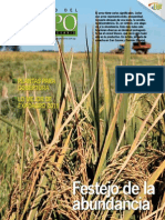 Campo - Año 10 - Numero 117 - Marzo 2011 - Paraguay - Portalguarani