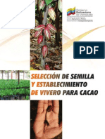 Seleccion Semillas de Cacao