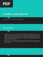 Cardiac Leptospirosis: Iralphuaborque Md14thbatch Hds Docharlabarda