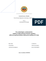 Tesi Magistrale PDF