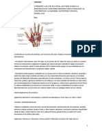 Biomecanica Miembros Superiores