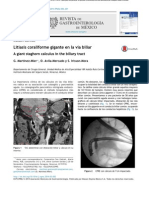 Litiasis Coraliforme Gigante