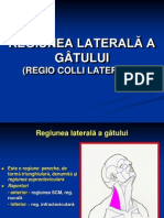 Curs 12 Regiunea Laterală A Gâtului