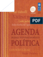 Agenda Politica CONAMI