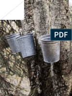 Tapping Birch: Collecting Birch Sap For Mineral Water, Wine, Beer, Vinegar and Syrup