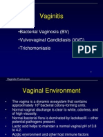 Vaginitis Slides 2013