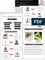 Atrayentes Sexuales en Insectos