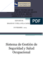 Sistema de Gestion de Seguridad y Salud Ocupacional PDF