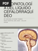 Fisiopatología Del Líquido Cefalorraquídeo