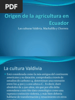 Origen de La Agricultura en Ecuador