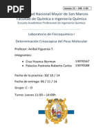 FQ I Practica N - 6 Determinacion Crioscopica Del Peso Molecular