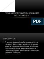 Procesos de Extraccion de Liquidos Del Gas Natural, Disertacion de Gas II, Grupo 6