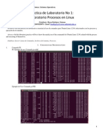 Informe Práctica Procesos Linux