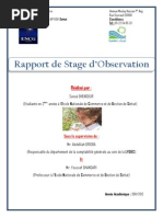 Rapport de Stage SANAA (Réparé) PDF