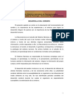 Desarrollo Del Cerebro Corregido PDF