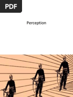 4 Perception