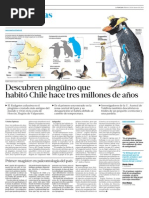 Descubren Pinguino Que Habito Chile Hace Tres Millones de Años