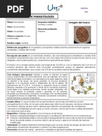 Nemátodos y Platelmintos, Céstodos