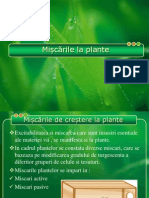 Miscarile La Plante