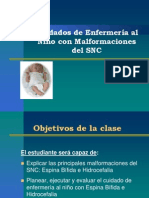 Cuidado Enfermería Al Niño Con Malformaciones Congénitas Sistema Nervioso 2014