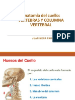 Columna Cervical