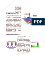 Levas y Su Clasificacion