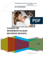 Causas de Morbimortalidad Materno Infantil EXPOSICION