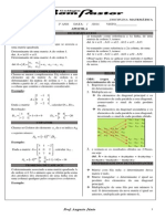 Determinantes Apostila