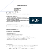 Proiect Didactic