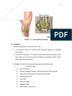 Gambar. 2.1. Osteomielitis Hematogen