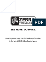 Zebra Manual y Configuracion SAP