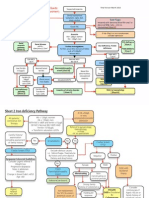 Manchester Anaemia Guide