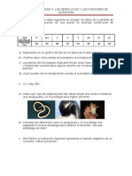 Ejercicios Unidad 4. Los Seres Vivos y Las Funciones de Nutrición