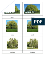 Carte Nomenclature Arbres Et Fleurs