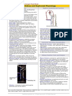 Urinary System