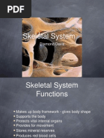 Skeletal System: Diamond Davis