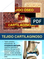 Tejido Oseo y Cartilaginoso