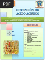 Trabajo de Bio (Produccion de Acido Acetico)