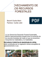 Aprovechamiento Recursos Forestales