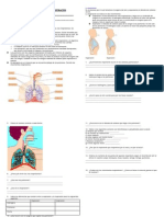 Practica La Respiracion