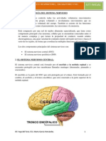 U1. Fisiopatología Del SNC PDF