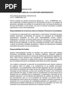 DICTAMEN DE LOS AUDITORES INDEPENDIENTES N 1