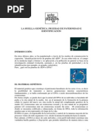 La Huella Genética Pruebas de Paternidad e Identificación