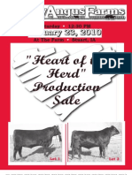 Varley Angus Farms - Heart of The Herd Production Sale