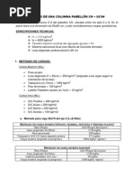 Analisis de Una Columna Pabellón CH