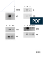 Arrdc3 β4: M GFP Arrdc3 M GFP β4