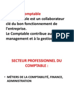 Fiches Métier Comptable