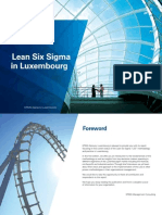 Lean Six Sigma PDF