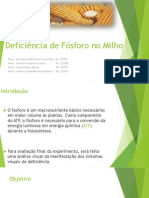 Deficiencia de Fosforo